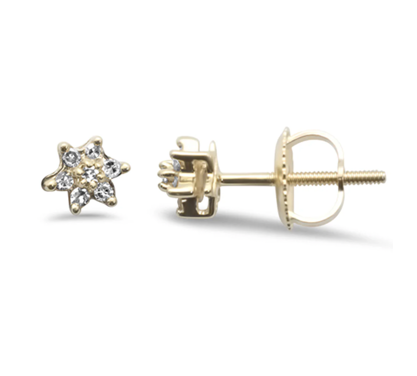 Studs estrella de mar