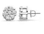 Studs Flor