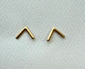 Broquelito 1041